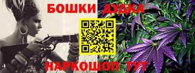 крисы Балаково