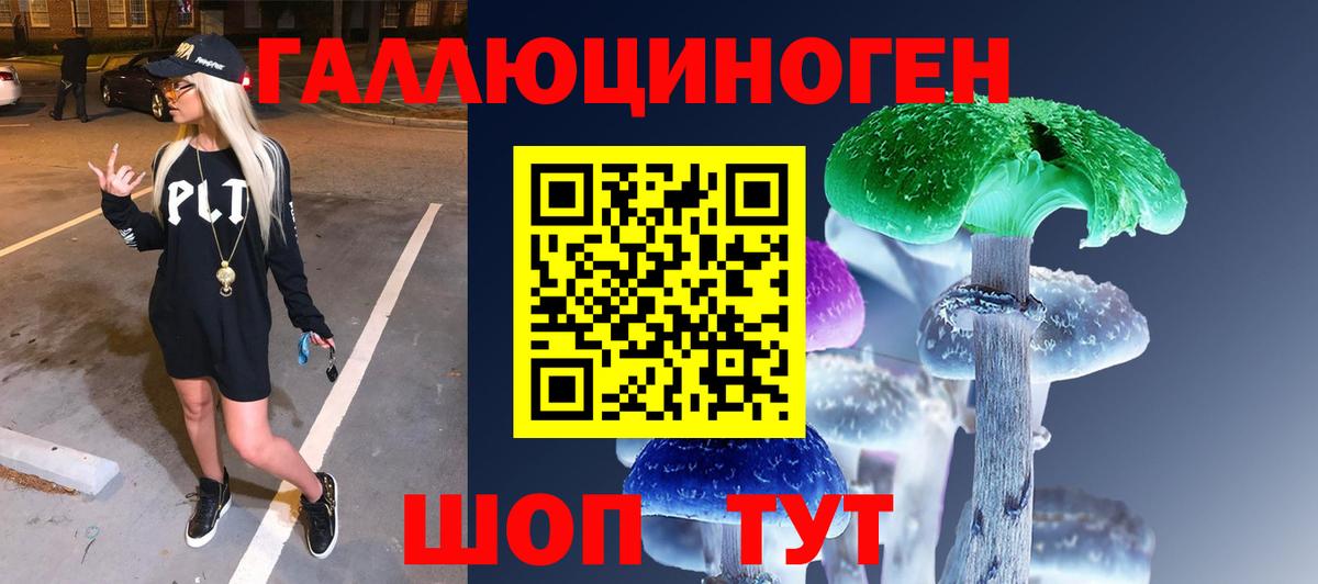 Галлюциногенные грибы Psilocybe Донецк