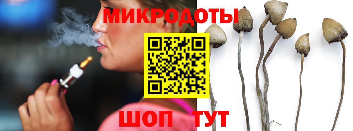 Донецк  Галлюциногенные грибы прущие грибы  Галлюциногенные грибы ЛСД  Вход с VPN 